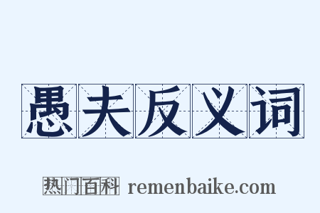 愚夫反义词是什么意思的图片